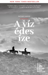 A víz édes íze by Nathan Harris