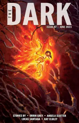 Read: The Book Dark Issue 97