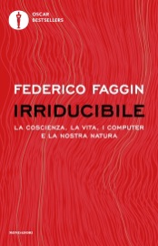 Irriducibile - Federico Faggin
