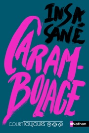 Court toujours : Carambolage - Roman Ado avec audio inclus - Dès 15 ans - Livre numérique - Insa Sané