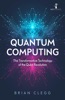 Book Quantum Computing