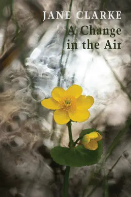 Read: A Change Book in the Air