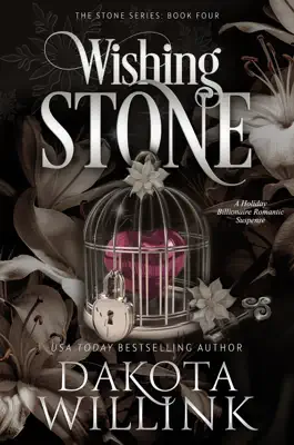 Wishing Stone by Dakota Willink book