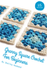 Granny Square Crochet for Beginners US Version - Shelley Husband