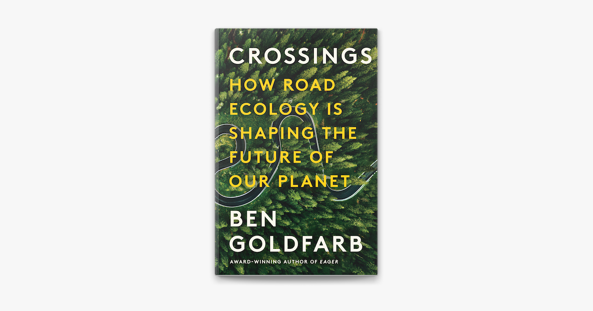 Crossings' explores the science of road ecology
