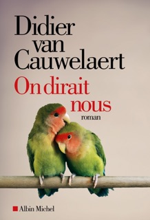 On dirait nous by Didier van Cauwelaert
