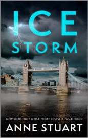 Ice Storm - Anne Stuart