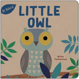 Read: Little Book Owl