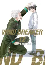 WIND BREAKER Volume 12