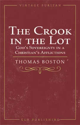 Read: Book The Crook in the Lot