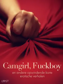 Camgirl, F*****y en andere opwindende korte erotische verhalen