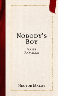 Nobody’s Boy by Hector Malot
