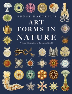 Ernst Haeckel's Art Forms in Nature by Ernst  Haeckel