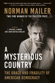 A Mysterious Country - Norman Mailer, J. Michael Lennon & John Buffalo Mailer