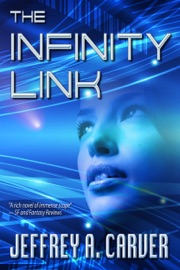 The Infinity Link - Jeffrey A. Carver