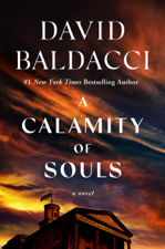 A Calamity of Souls - David Baldacci Cover Art