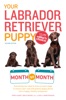 Book Your Labrador Retriever Puppy Month By Month