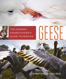 Book The Modern Homesteader's Guide to Keeping Geese - Kirsten Lie-Nielsen