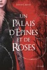Book Un Palais d'épines et de roses T1