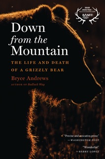 Down From The Mountain by Bryce Andrews