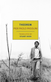 Theorem - Pier Paolo Pasolini & Stuart Hood