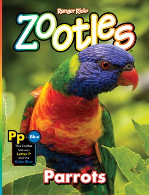Zootles Parrots