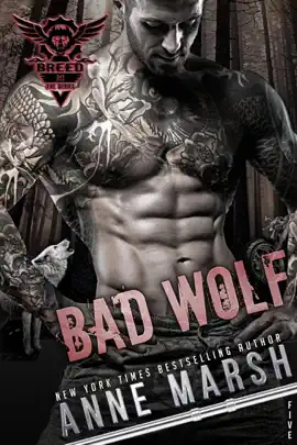 Read: Book Bad Wolf