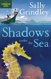 Shadows under the Sea - Sally Grindley