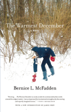 The Warmest December - Bernice L. McFadden Cover Art