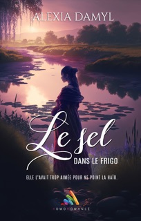 Le sel dans le frigo  Livre lesbien, roman lesbien by Alexia Damyl & Homoromance Editions