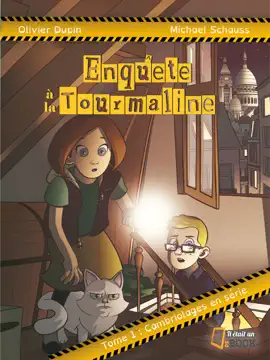 Read: Cambriolages en série Book