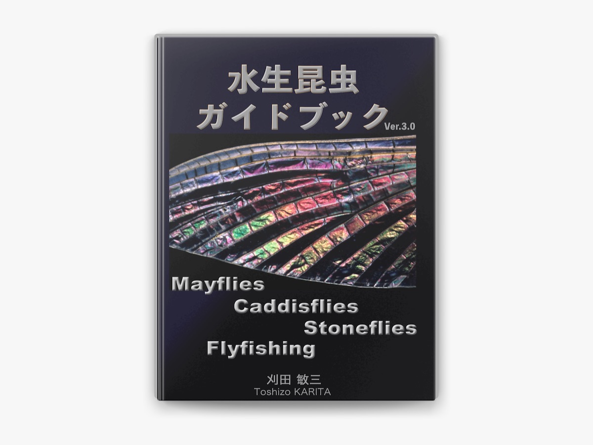 水生昆虫ファイル 水生昆虫ファイル (1) | 刈田 敏 |本 | 通販 | Amazon