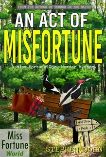 An Act of Misfortune by Stephen John