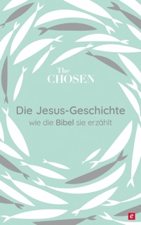 Die Jesus-Geschichte by Dallas Jenkins, Amanda Jenkins & Steve Laube