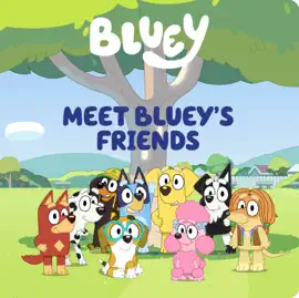 Read: Meet Bluey's Friends Book