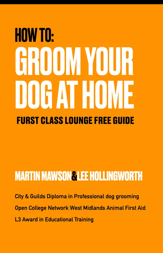 Groom your dog at home By FURST CLASS LOUNGE