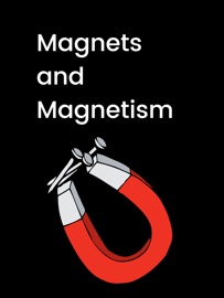 Magnets and Magnetism - Allyson Brinston