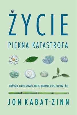 Read: Życie. Piękna Book katastrofa