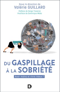 Du gaspillage à la sobriété : Avoir moins et vivre mieux ? by Serge Tisseron, Valérie Guillard & Dominique Méda