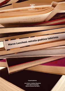 Marco Lucchesi: estrela-poética-labirinto by Ana Maria Haddad Baptista