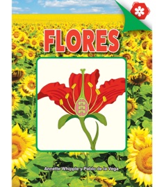 Flores - Annette Whipple