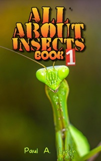 All About Insects by Paul A. Lynch