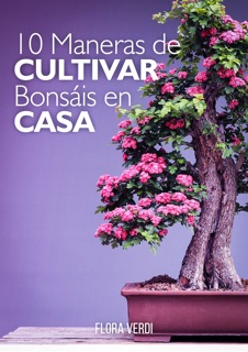 10 Maneras de Cultivar Bonsáis en Casa by Flora Verdi