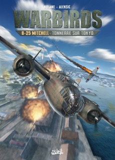 Warbirds B-25 Mitchell by Richard D. Nolane & Aleksandar Sotirovski