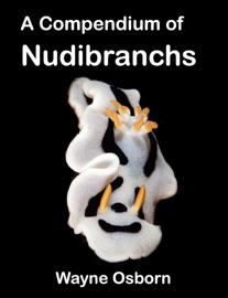 A Compendium of Nudibranchs - Wayne Osborn