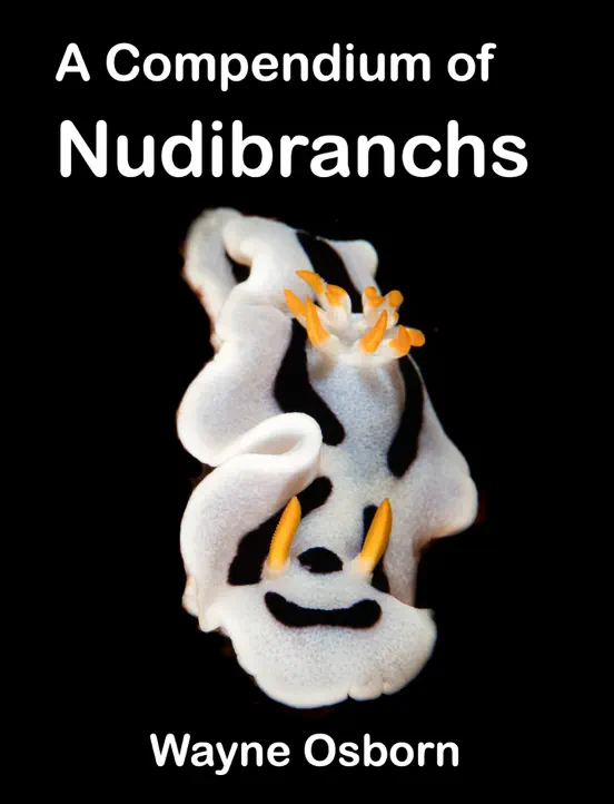 A Compendium of Nudibranchs
