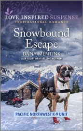 Snowbound Escape - Dana Mentink
