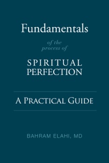 Fundamentals of the Process of Spiritual Perfection by Bahram Elahi MD