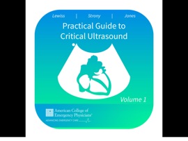 Practical Guide to Critical Ultrasound - Resa E. Lewiss
