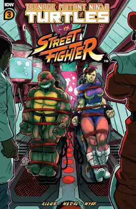 Read: Teenage Mutant Ninja Turtles Vs. Book Street Fighter #3